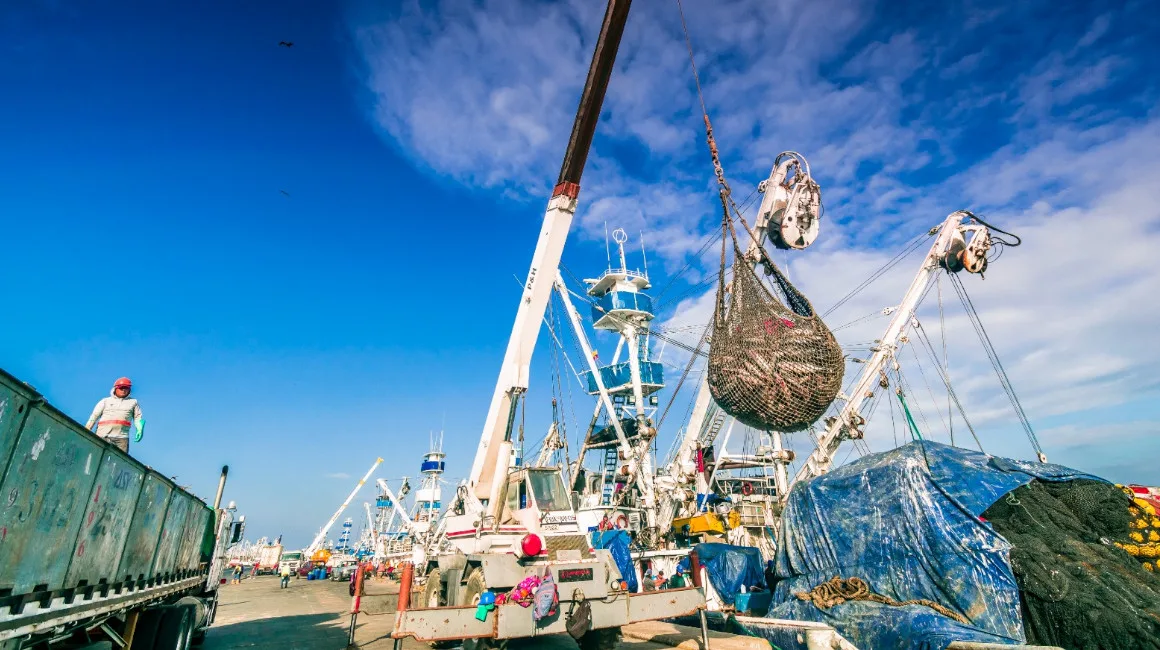 Ampliación del Terminal Pesquero y de Cabotaje de Manta, una deuda pendiente