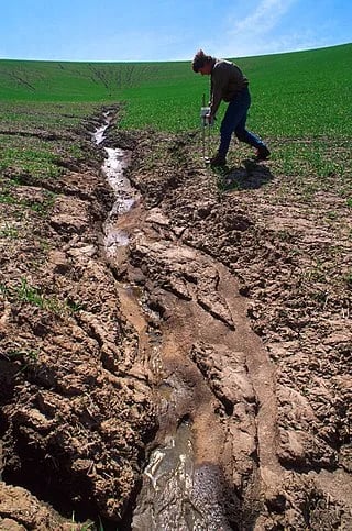 INTERNACIONAL: Qué problemas plantea la erosión del agua para la agricultura ?