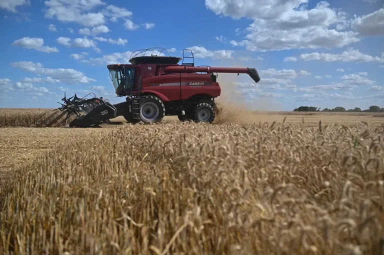 La UE aprueba definitivamente las salvaguardas a agricultores ante el acuerdo con Mercosur