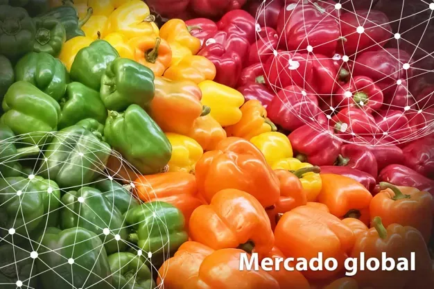 ESTADÍSTICAS: Resumen del mercado global del pimiento