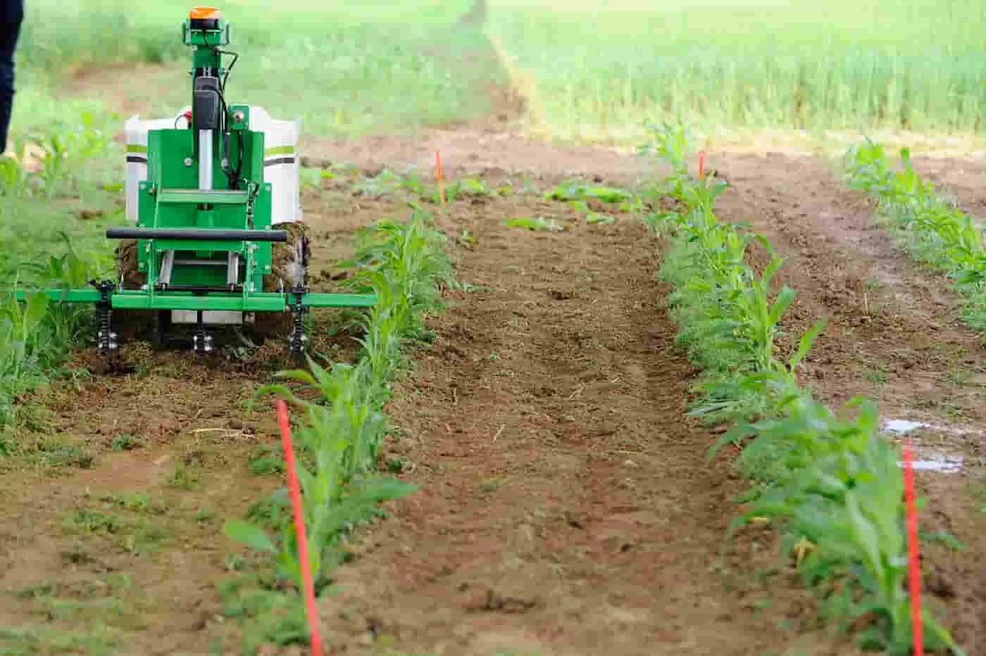COLOMBIA: El Gobierno celebra el crecimiento del agro en el tercer trimestre de 2024