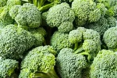 INTERNACIONAL: Una máquina revolucionaria para la cosecha de brócoli