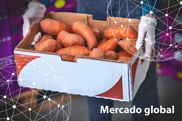 ESTADÍSTICAS: Resumen del mercado global de la batata