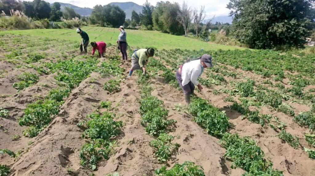 INTERNACIONAL: Se firma acuerdo para impulsar acceso al crédito para pequeñas y medianas empresas agrícolas en América Latina y el Caribe