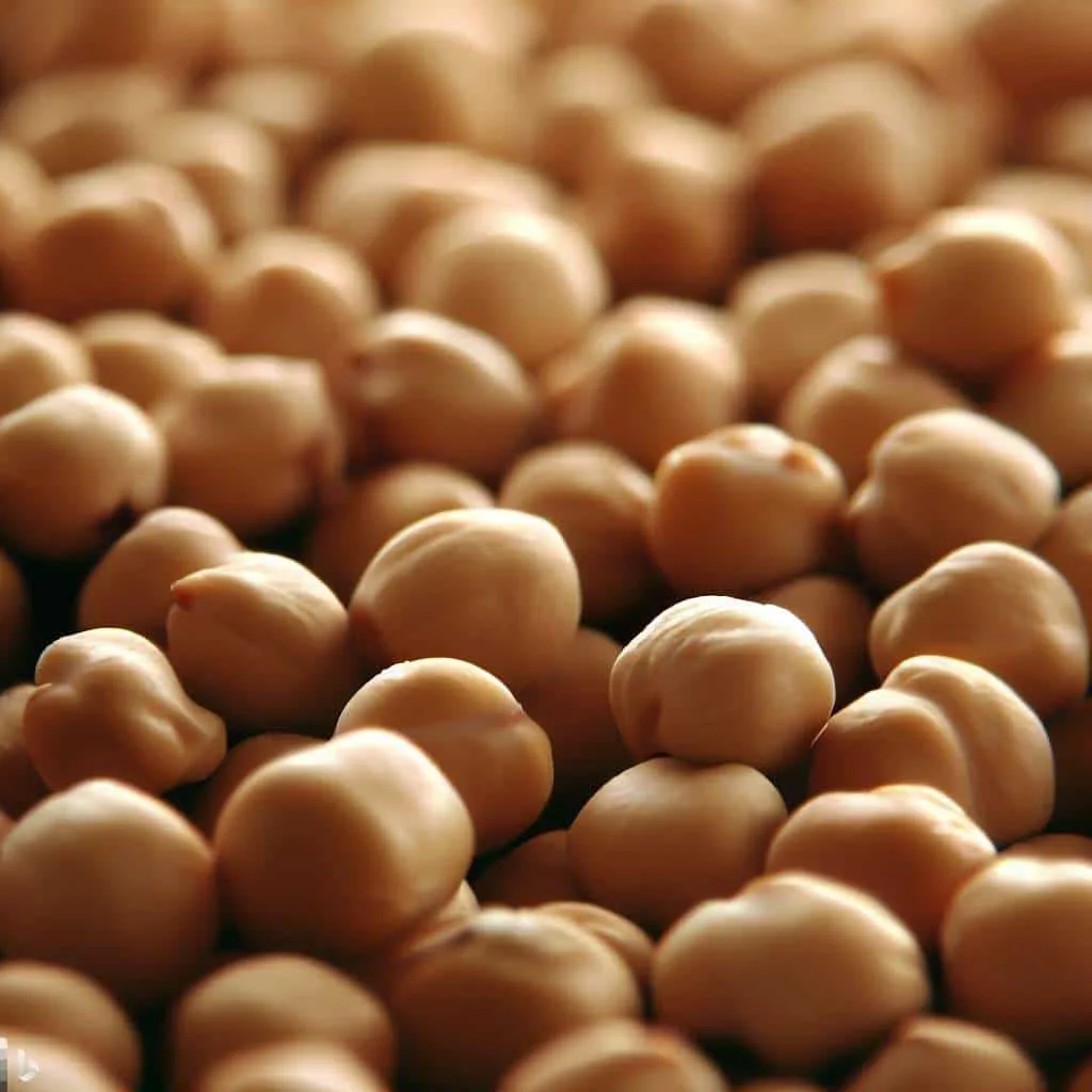 INFORME TÉCNICO: En México desarrollaron una variedad de garbanzo resistente a la sequía y a la pudrición de la raíz por fusarium