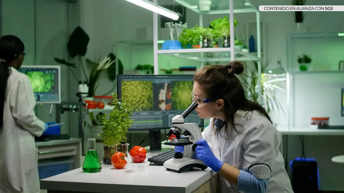 La biotecnología en la agricultura moderna