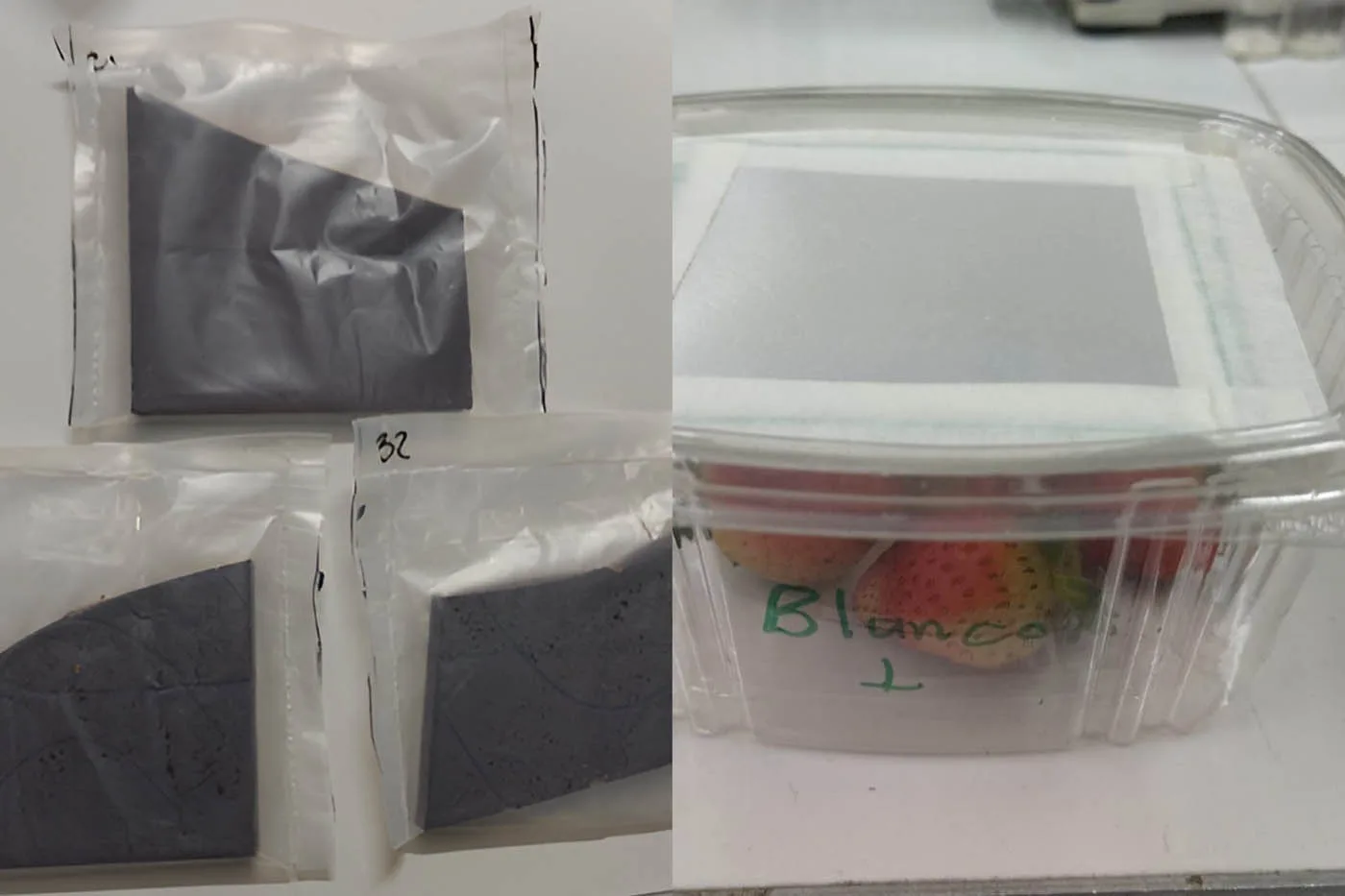 INTERNACIONAL: Con limoncillo y biopolímeros crean empaques de alimentos “antihongos”