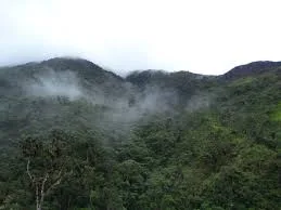 Mecanismo para Bosques y Fincas" Expande su Alcance en Ecuador
