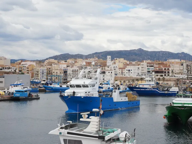 INTERNACIONAL: España aplica el acuerdo de la OIT para garantizar el trabajo digno en la pesca