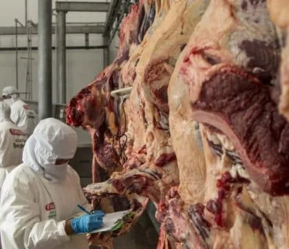 INTERNACIONAL: Gobierno de Bolivia apuesta por exportaciones de azúcar, etanol y carne para aumentar flujo de dólares