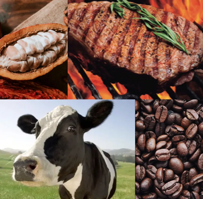 Ultiman detalles en la organización de la Feria Agropecuaria de Loja