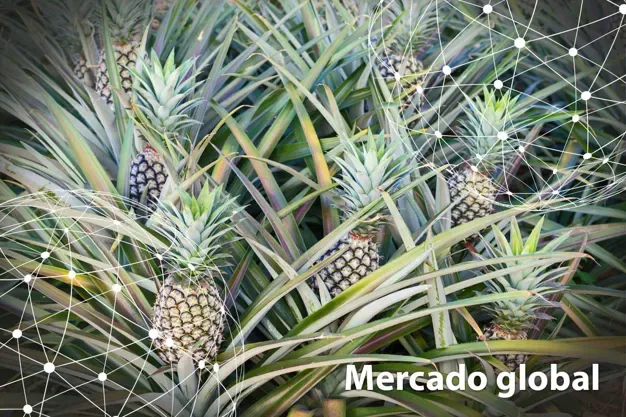 DATOS ESTADÍSTICOS: Resumen del mercado global de la piña