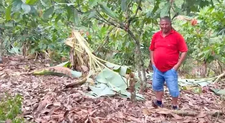 Agricultores del sector rural de Santo Domingo afectados por la destrucción de sembríos