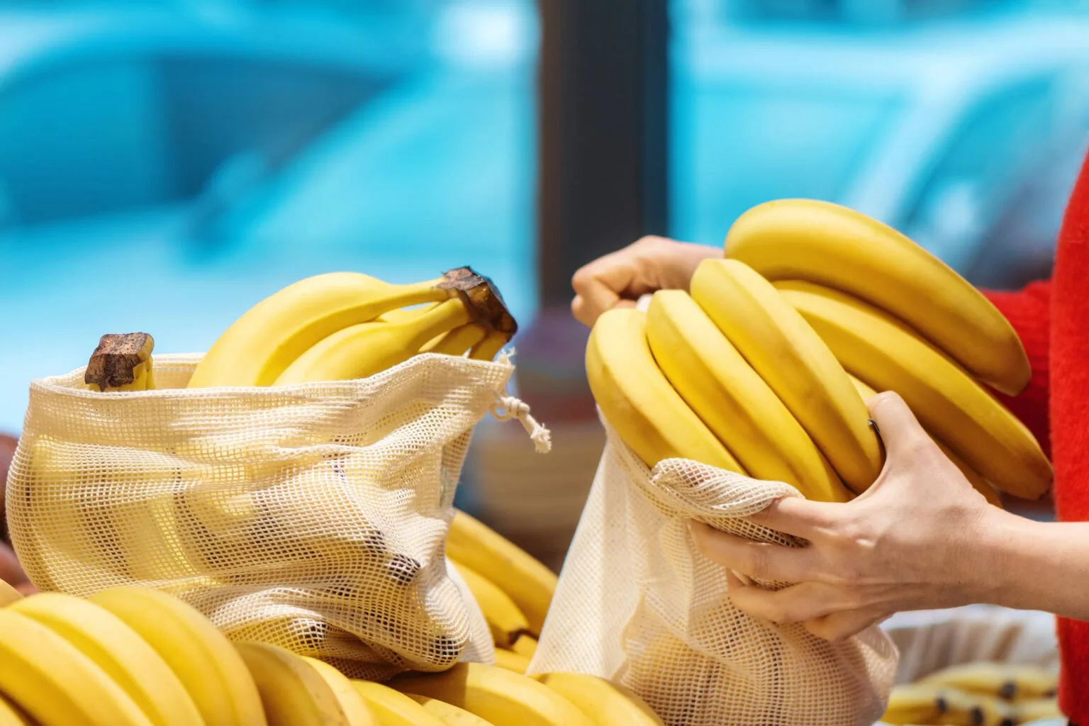 Unión Europea principal destino de productos orgánicos ecuatorianos
