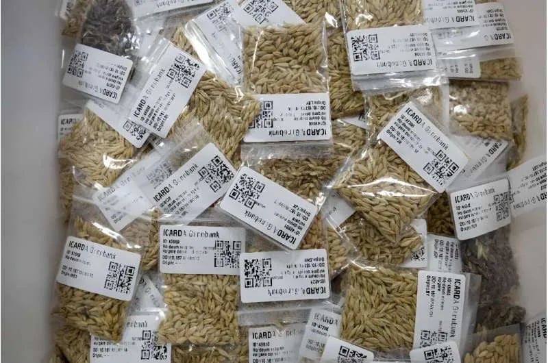 INTERNACIONAL: La revolución agrícola de Marruecos: desafiar la sequía con la ciencia