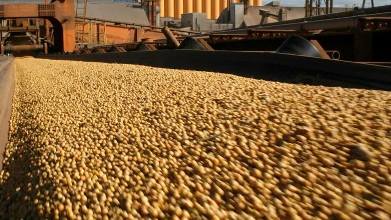 Embarques de soja de Argentina alcanzan máximo en siete años gracias aumento de importaciones de China