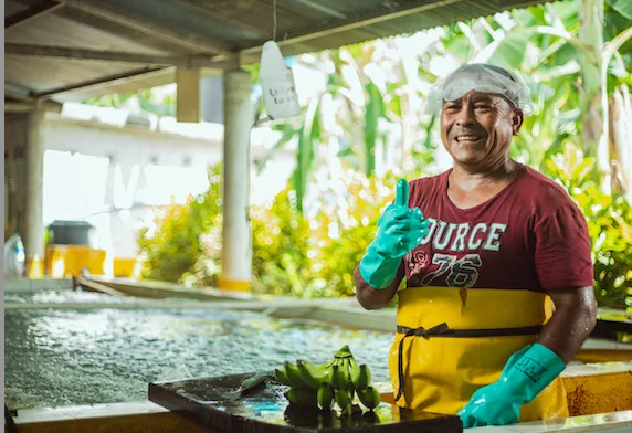 INTERNACIONAL: Congreso de ASBAMA abordará problemáticas y desafíos del sector bananero en Colombia y el mundo