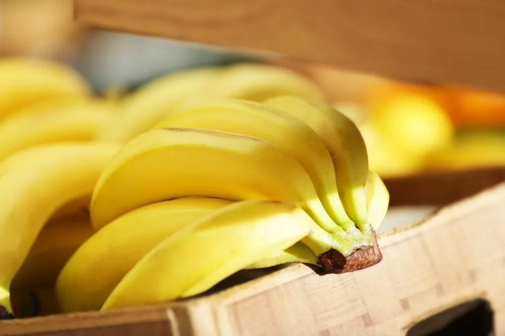 Los precios del banano en Costa Rica bajan un 2%, mientras que Panamá y Guatemala se mantienen estables
