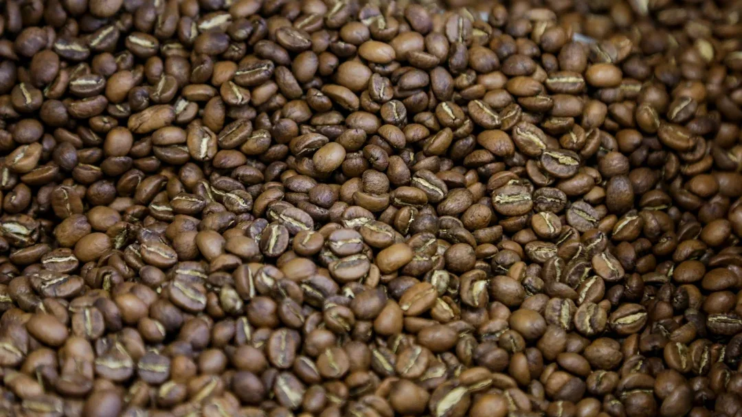 INTERNACIONAL, COLOMBIA: La producción del café arábica aumentará aproximadamente cuatro millones de sacos