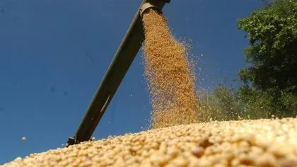 India retrasa la siembra de arroz y soja por el lento avance del monzón