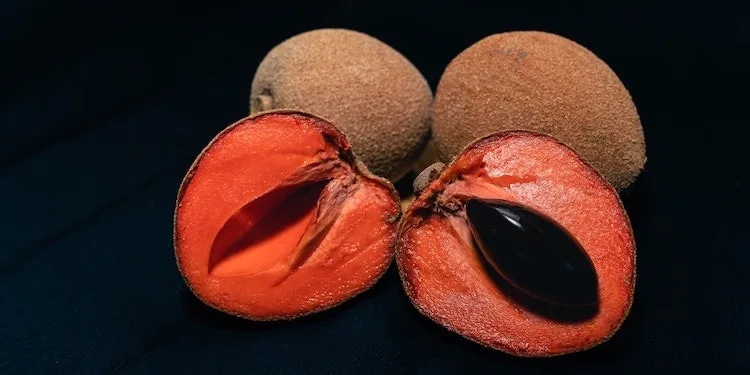 INTERNACIONAL: En el mamey rojo del Pacífico habría una esperanza para el tratamiento del Alzheimer