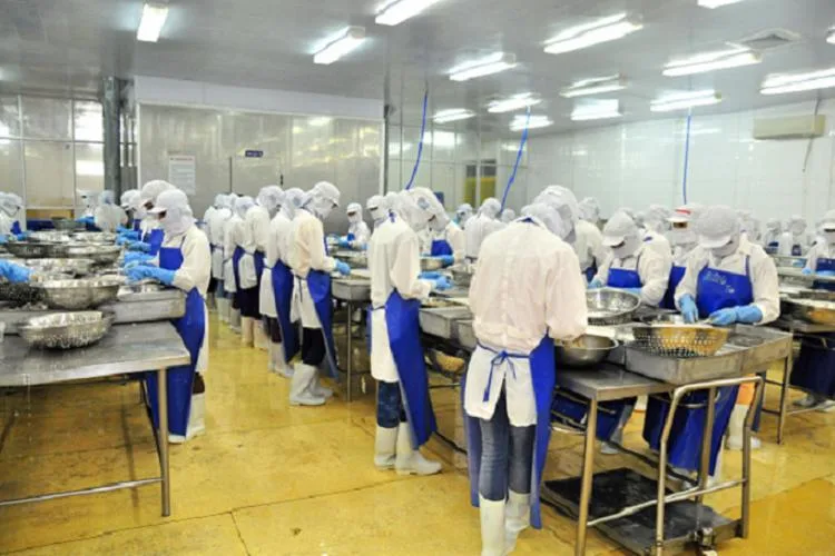 El programa "Fábricas de Calidad" para elevar estándares de competitividad empresarial en Ecuador