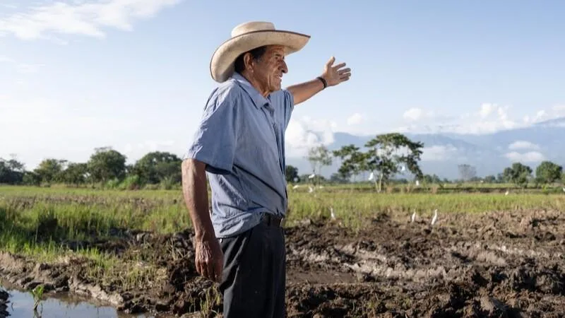 INTERNACIONAL: Syngenta fortalece acciones de la industria agroalimentaria en materia ambiental