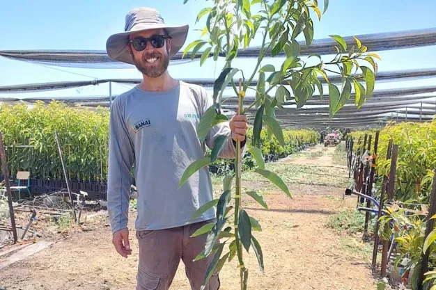 INTERNACIONAL: Israel exporta al mundo material vegetal de subtropicales probado en las duras condiciones del desierto