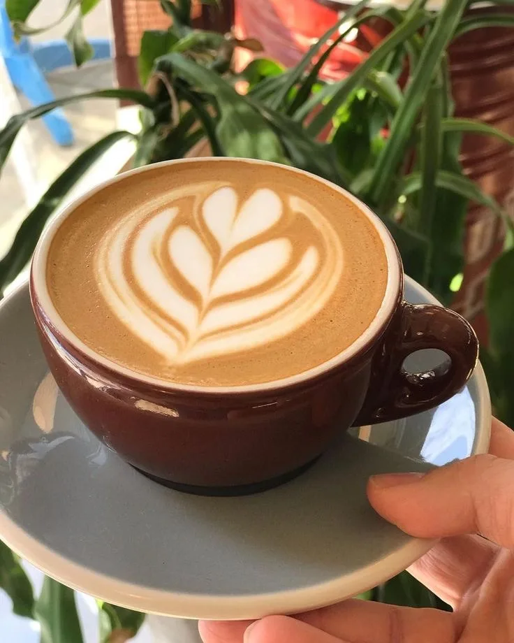 Reino Unido Reconoce Denominaciones de Origen ecuatorianas, entre ellas destaca el café lojano