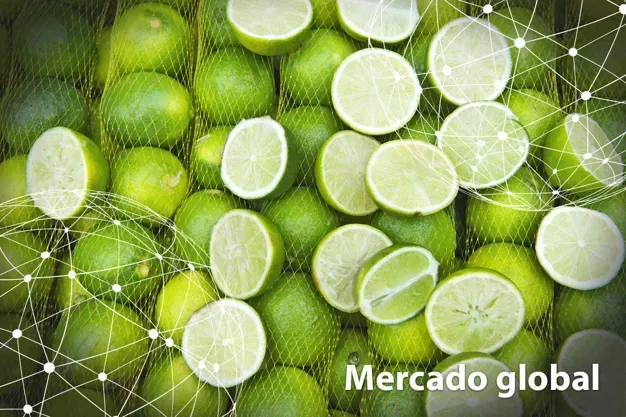 DATOS ESTADÍSTICOS: Resumen del mercado global de la limón