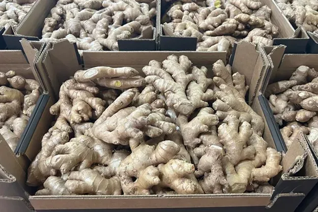 INTERNACIONAL: El jengibre no conoce la crisis en los mercados europeos