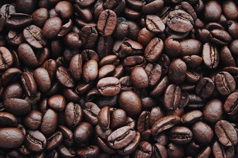 Con café y cacao, Ecuador es pionero mundial en la producción libre de deforestación