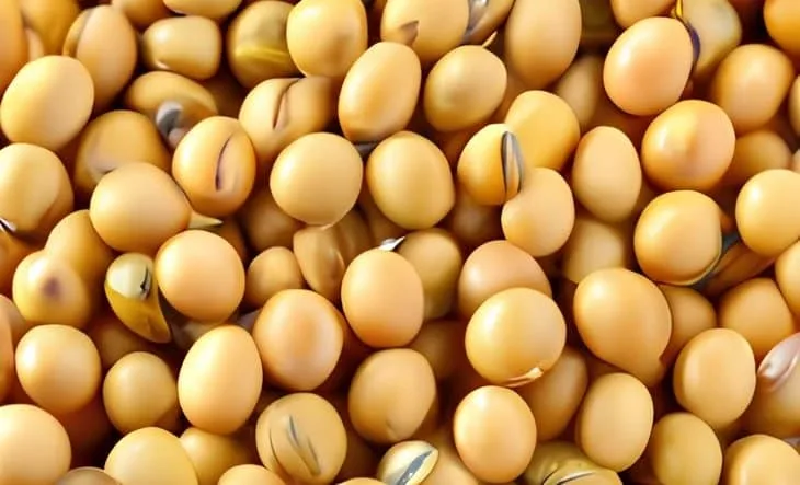 INTERNACIONAL: Las previsiones agrícolas brasileñas para 2024 desorganizan los mercados mundiales de soja y maíz