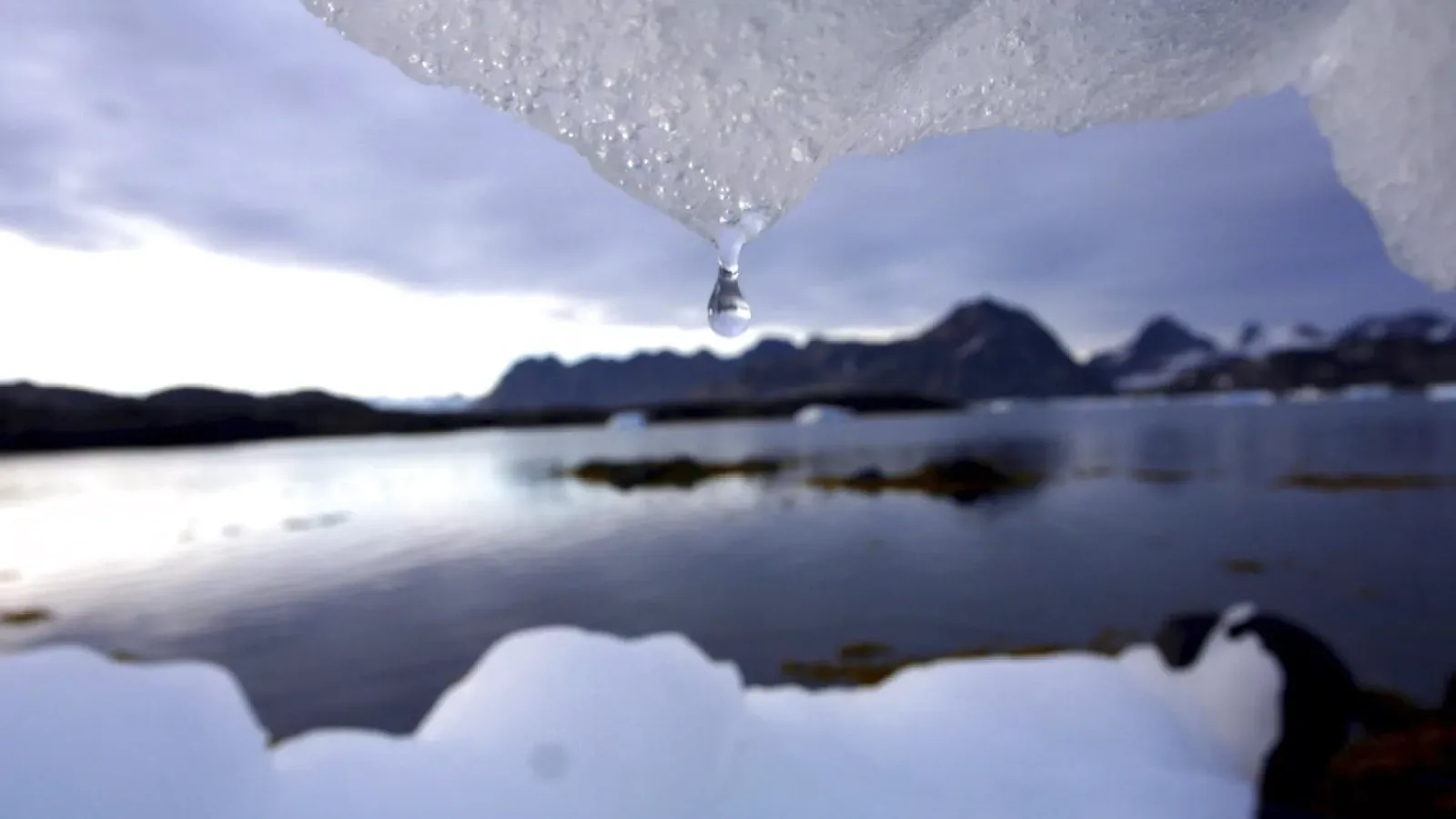 El deshielo del permafrost ártico podría liberar una "BOMBA de mercurio" con el aumento de temperaturas