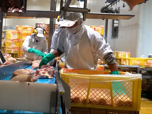 Colombia suspende temporalmente importación de productos avícolas desde Brasil