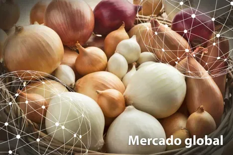 Resumen del mercado global de la cebolla