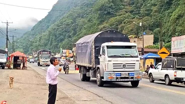 Tráfico de madera ilegal: poco control, corrupción y participación de grupos delictivos