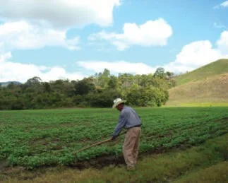 INTERNACIONAL: Transformación de Sistemas Agrícolas de Secano a Riego Aumenta Rendimientos en Costa Rica, México y Nicaragua