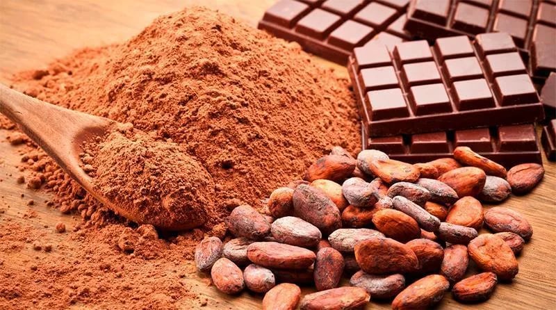 ECUADOR: Exportadores exploran nuevas oportunidades en mercados internacionales