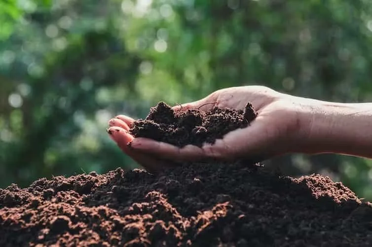 Ecuador participa en cumbre sobre financiamiento para resiliencia climática en Londres