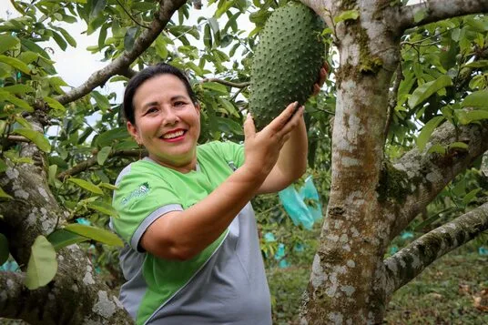 MAG y AGROCALIDAD Convocan a la II Edición de los Premios Ecuador Orgánico