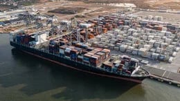 Exportaciones marítimas abren nuevas oportunidades para las flores ecuatorianas
