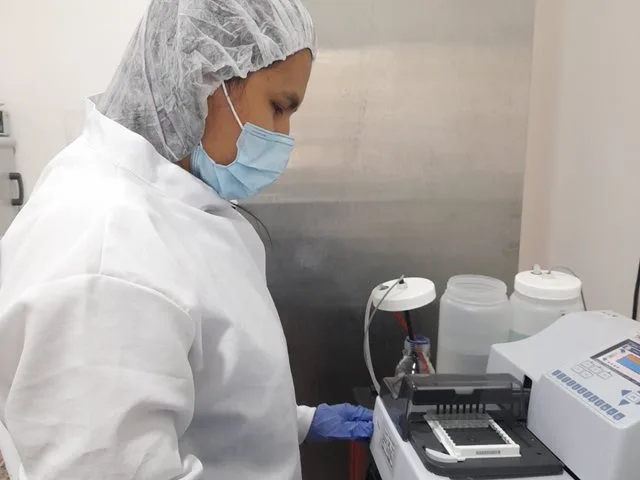 COLOMBIA: El ICA Reinicia Uso del Kit SVANOVIR® para Brucelosis Bovina