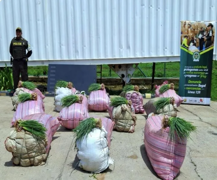 COLOMBIA: ICA refuerza la lucha contra el contrabando de alimentos en zonas Fronterizas