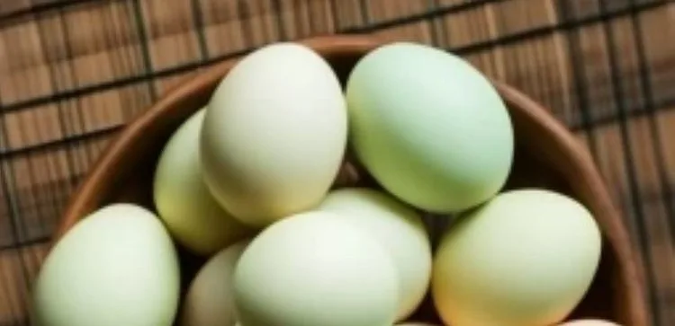 ¿Qué clase de gallinas ponen huevos verdes y qué clase de favucanos son?