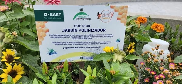 ECUADOR: Jardines polinizadores podrían ser solución contra el calentamiento global