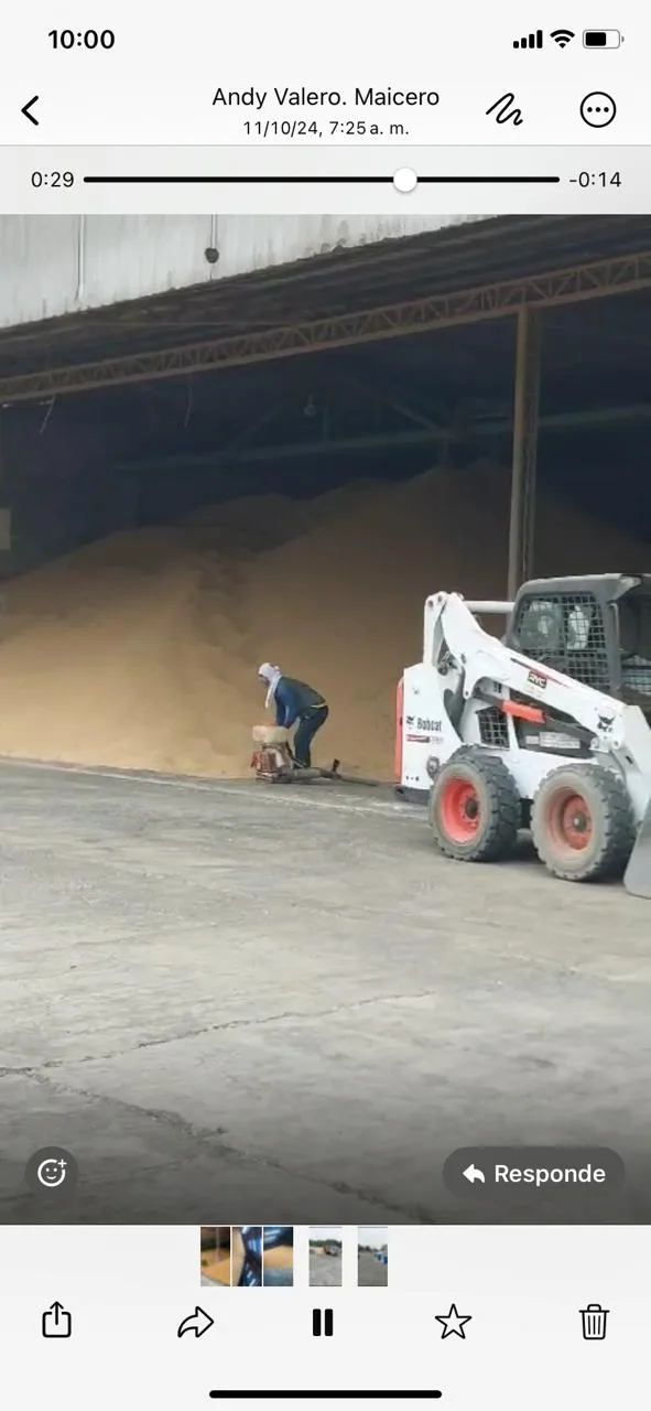 Urgente: Productores de Ventanas buscan compradores para 4.000 toneladas de soya en peligro de deterioro