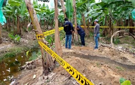 Estudio de Bioseguridad en Fincas de la Provincia de Los Ríos para Combatir Moko y Fusarium R4T