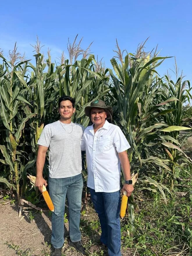 ECUADOR: Innovador uso de algas marinas mejora la producción de maíz en Manabí