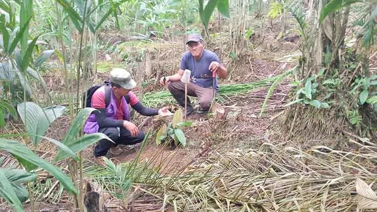 ECUADOR: En Santo Domingo, agricultores y ganaderos enfrentan los estragos de la sequía